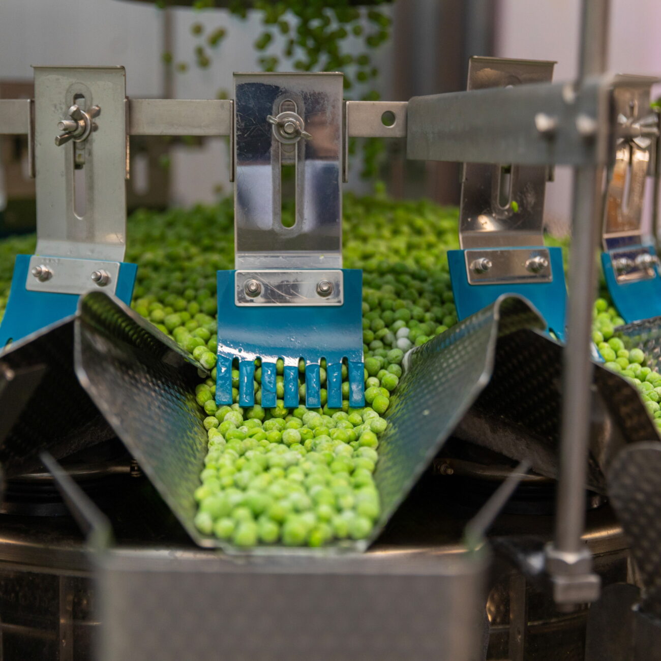 Barba_Stathis_Multihead_Weigher_Shot_01