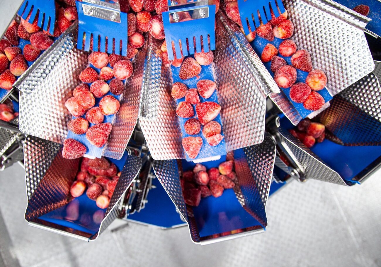 ISHIDA_Agroaguiar_11