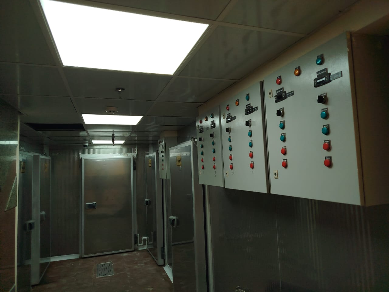 WhatsApp Image 2025-09-27 at 5.42.11 PM