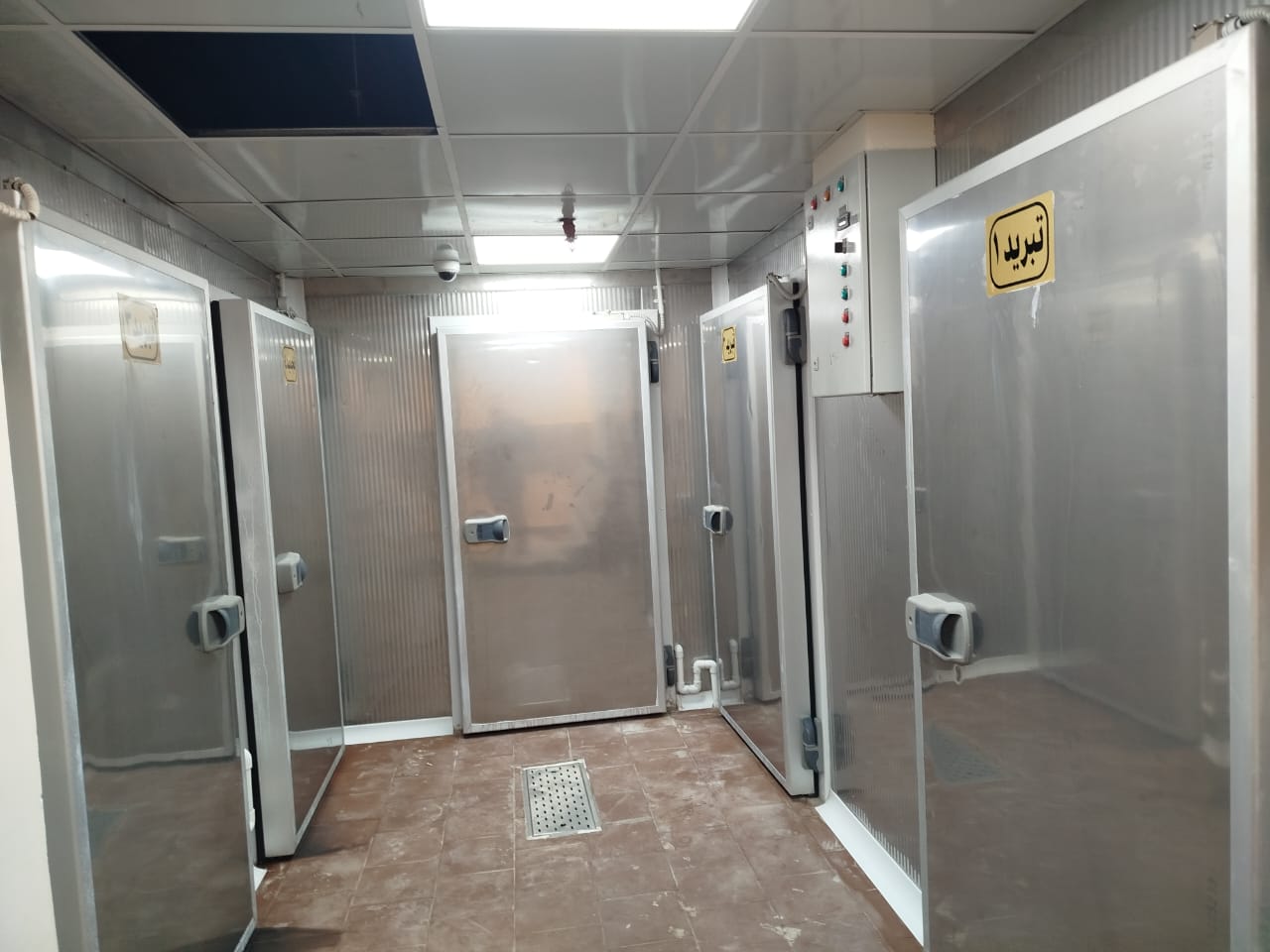 WhatsApp Image 2025-09-27 at 5.42.13 PM (1)