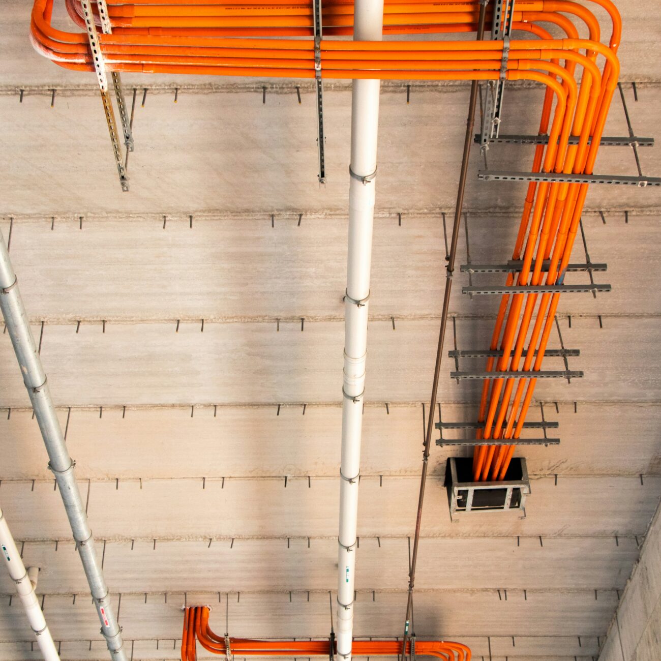 mitchell-luo-LhvCOZUhpUI-unsplash