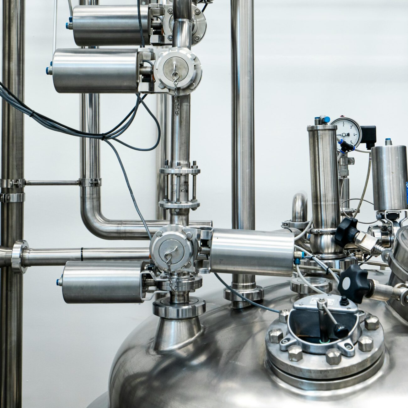 pexels-policarpo-brito-54154519-33514501